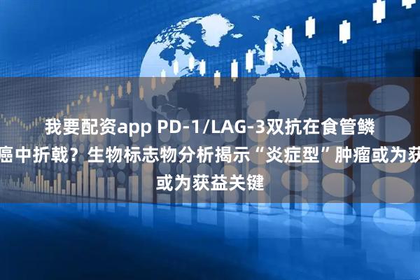 我要配资app PD-1/LAG-3双抗在食管鳞状细胞癌中折戟？生物标志物分析揭示“炎症型”肿瘤或为获益关键